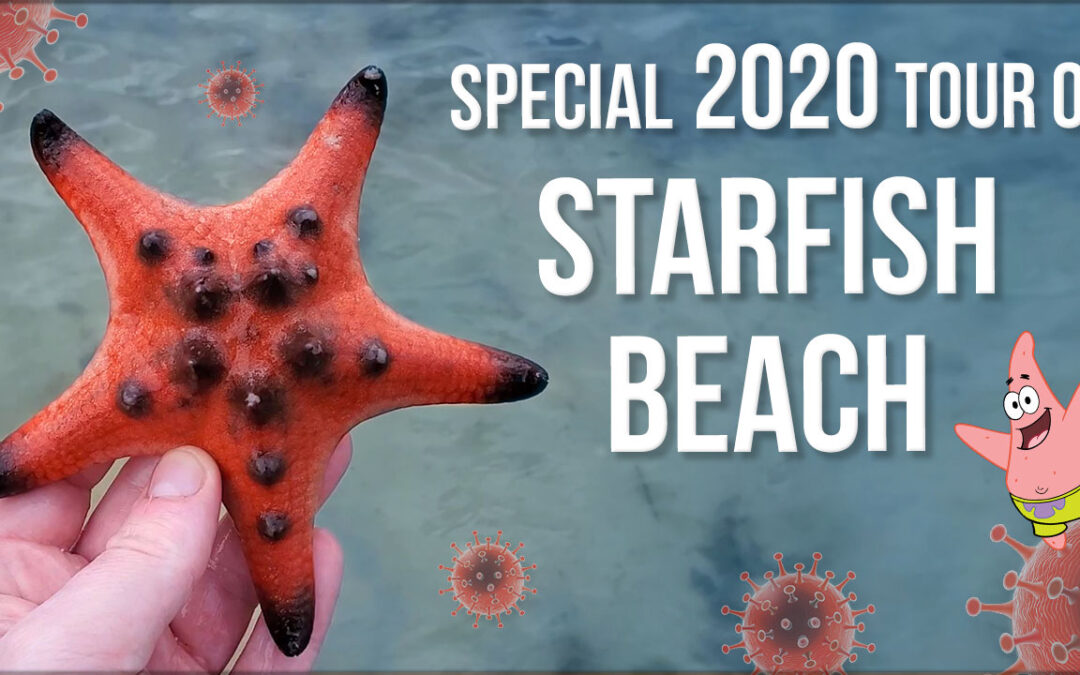 Special 2020 tour of Starfish Beach on Phu Quoc Island!