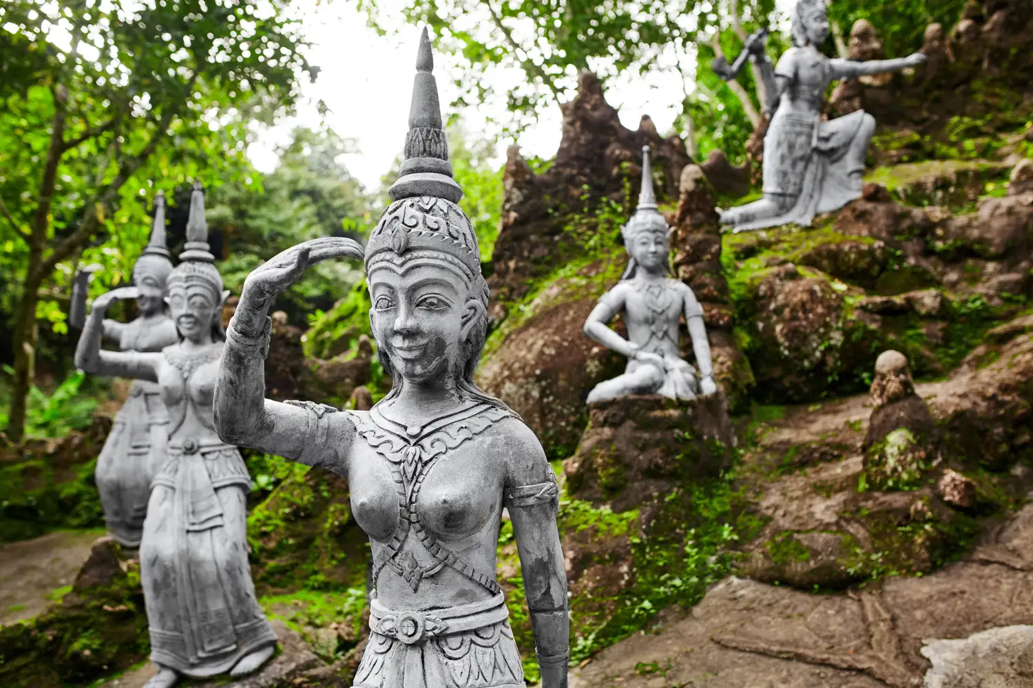 Explora el jardín secreto de Buda