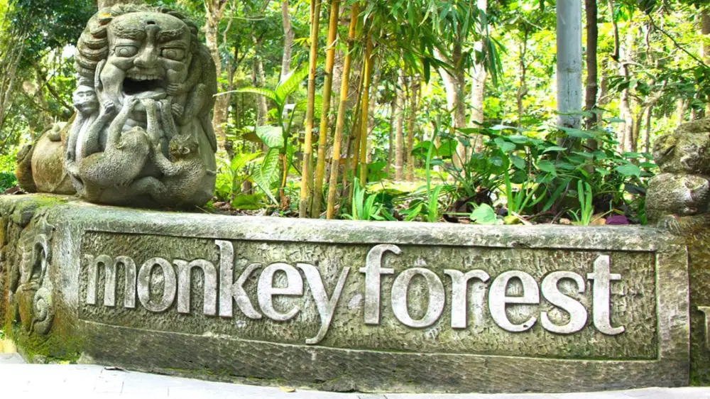 Khu bảo tồn rừng khỉ linh thiêng của Ubud