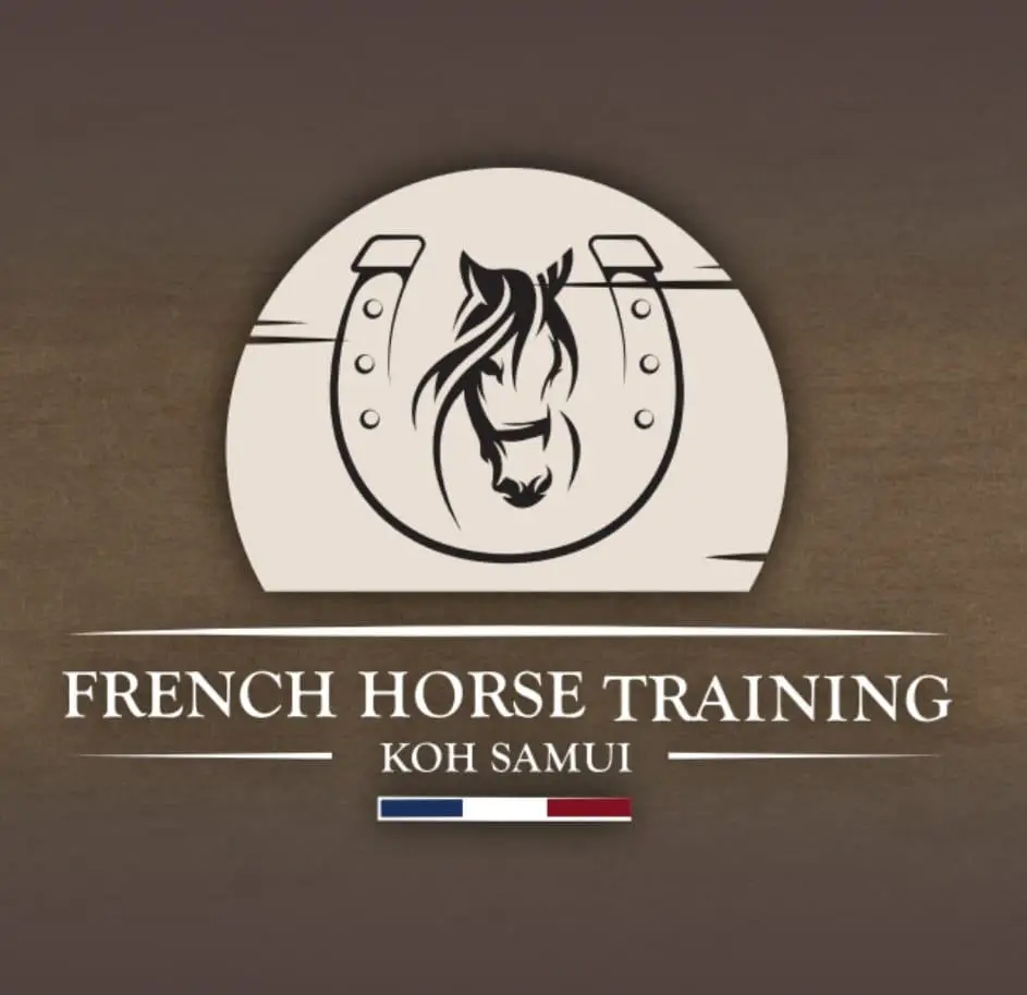 Französisches Pferdetrainingszentrum